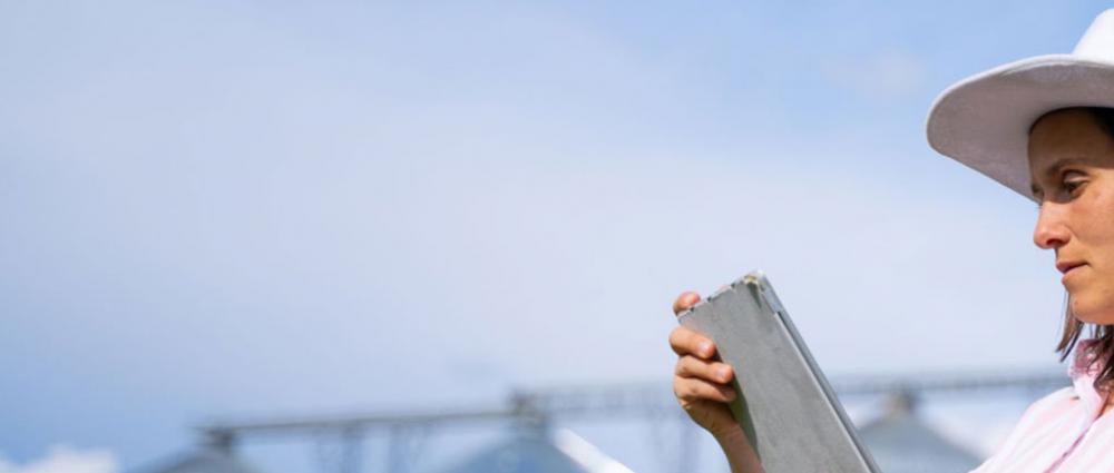 10 помилок власників елеваторів у фінансах і як їх вирішує автоматизація обліку зерна