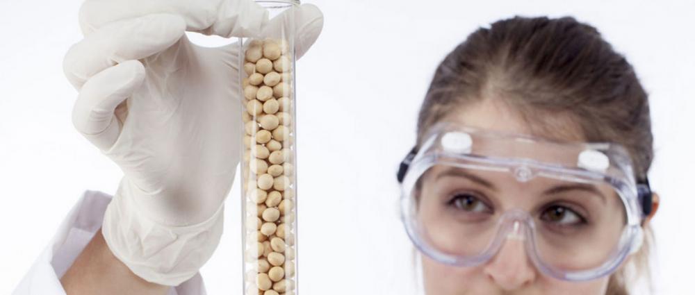 ГМО-контроль зерна 2026 - як новий закон змінить роботу українських елеваторів