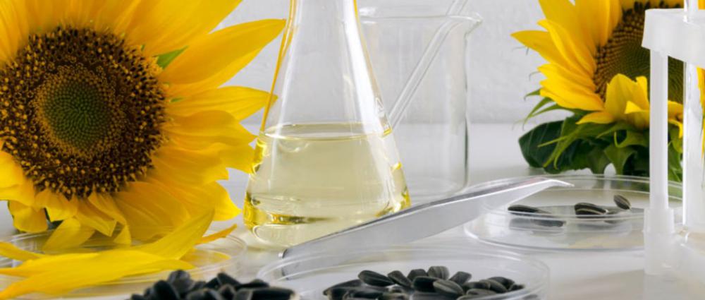 Анонімна лабораторія на елеваторі та олійному заводі