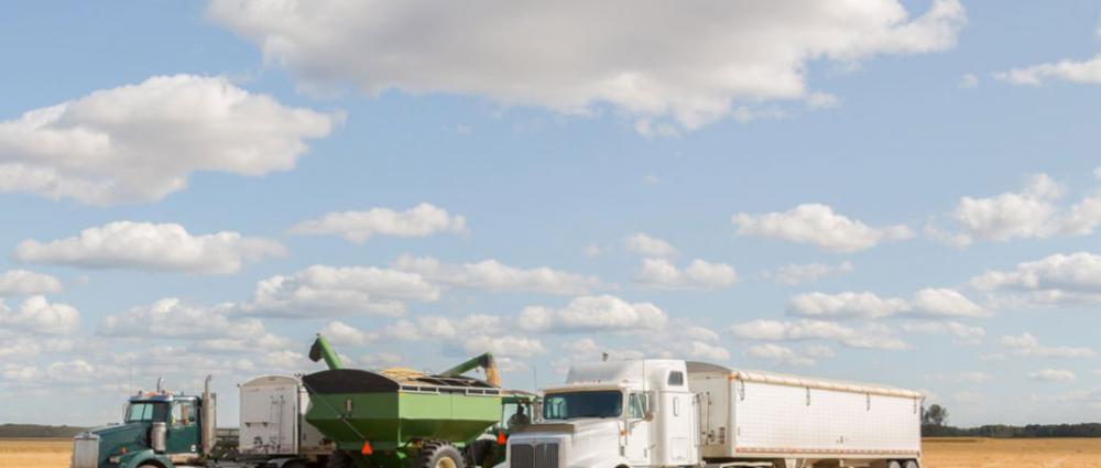Системы учета для зернового и транспортного бизнеса