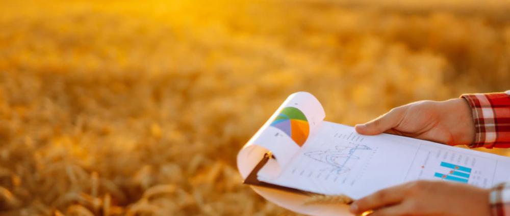 Бізнес-план зернотрейдера. Як інструмент збільшення продажів