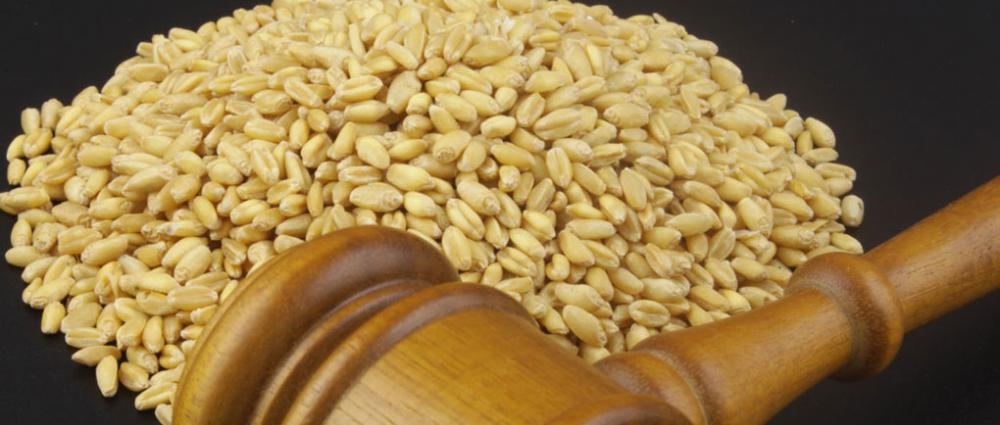 Судові спори через облік зерна. Типові конфлікти між елеватором і агровиробником