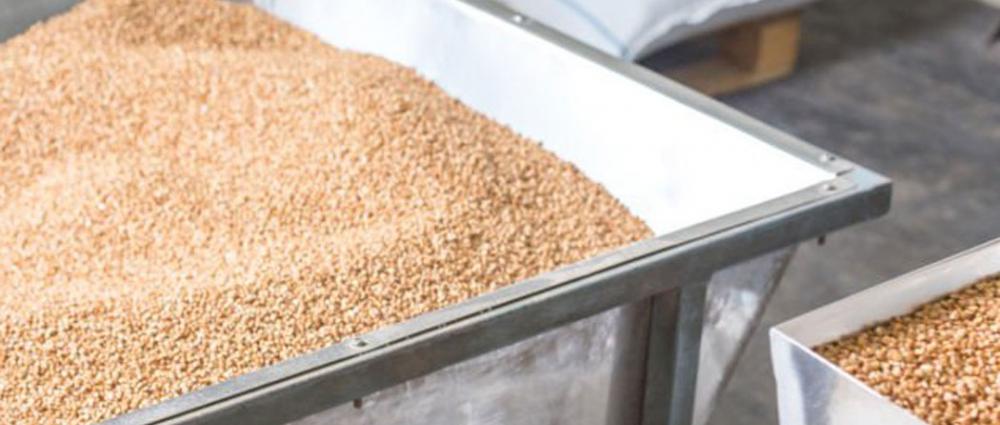 Діджіталізація зернопереробного підприємства. Покроковий план дій