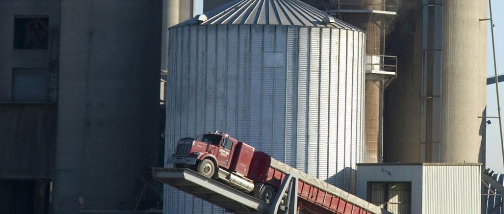 Автоматизація обліку взаєморозрахунків з перевізниками зерна для елеваторів