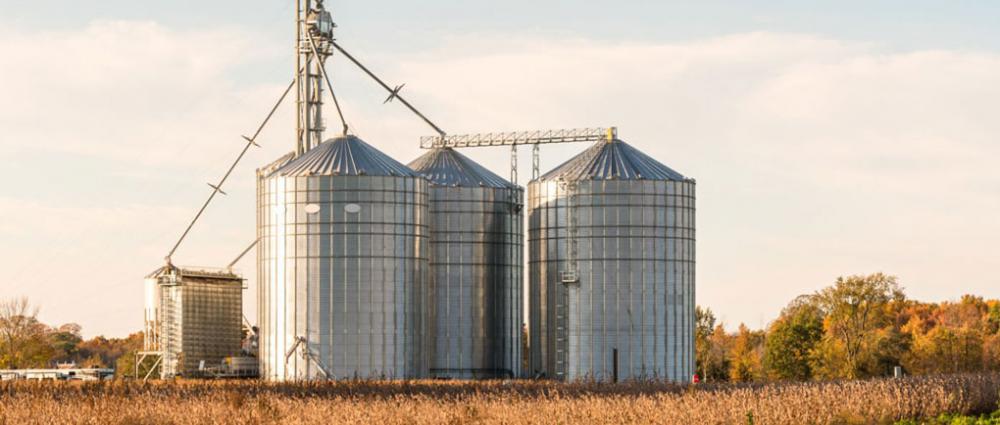 Більша ємність елеваторів чи більша кількість? Плюси та мінуси