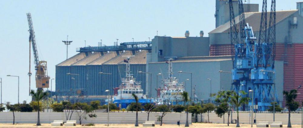 Елеваторний бізнес в Україні. Нові бізнес-моделі елеваторів для зберігання зерна