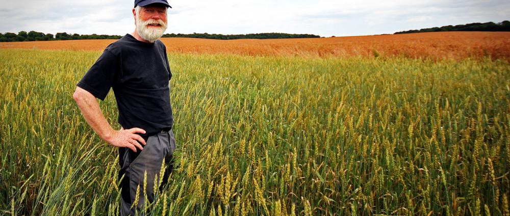 Принципи роботи зернотрейдерів та навіщо їм автоматизація