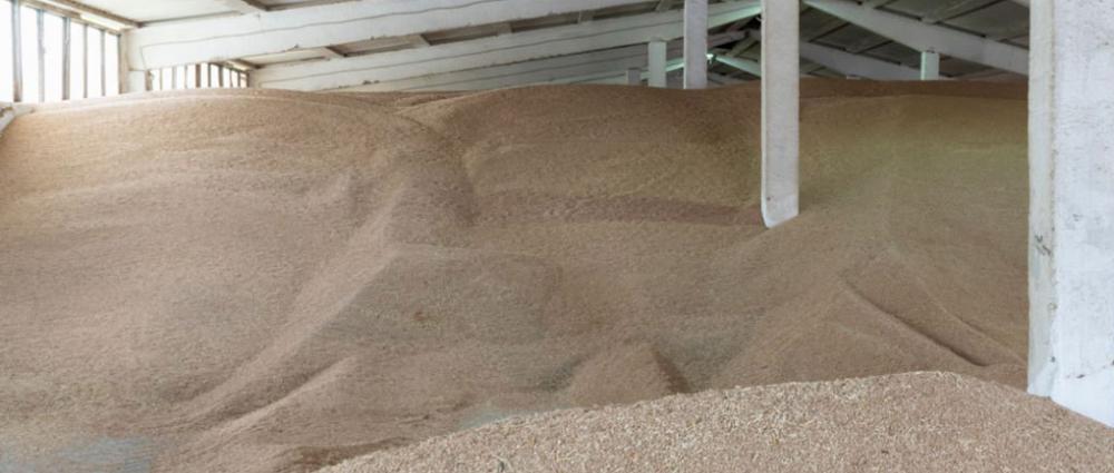 Підлогове зберігання зерна. Переваги та недоліки