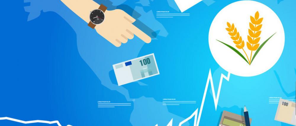 З 1 жовтня вартість програмних продуктів GES для обліку зерна зросте на 40%. Чому важливо придбати зараз