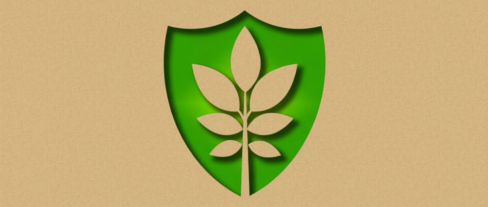 Системи HACCP, ISCC, ISO 22000. Навіщо елеваторам мати сертифікати