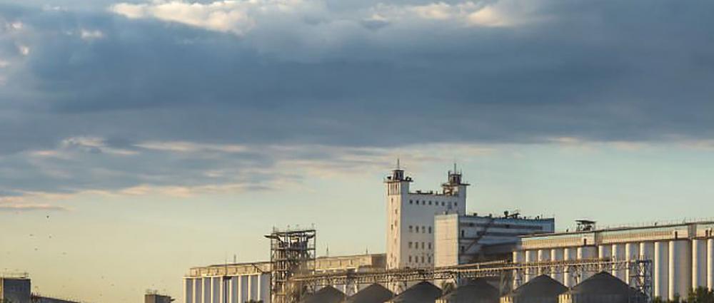 Обов'язкова сертифікація елеваторів в Україні — чи вирішить вона проблему тіньового зерна?