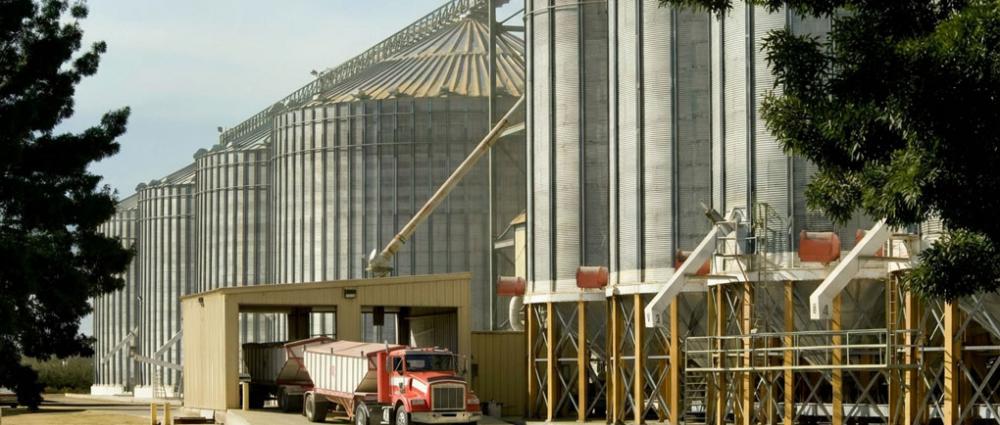 Чому важливо обирати елеватори з автоматизованим обліком. 5 аргументів для фермера