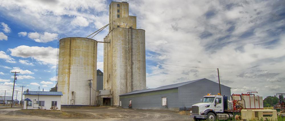 1C Весовая. Автоматизация взвешивания зерна на элеваторах