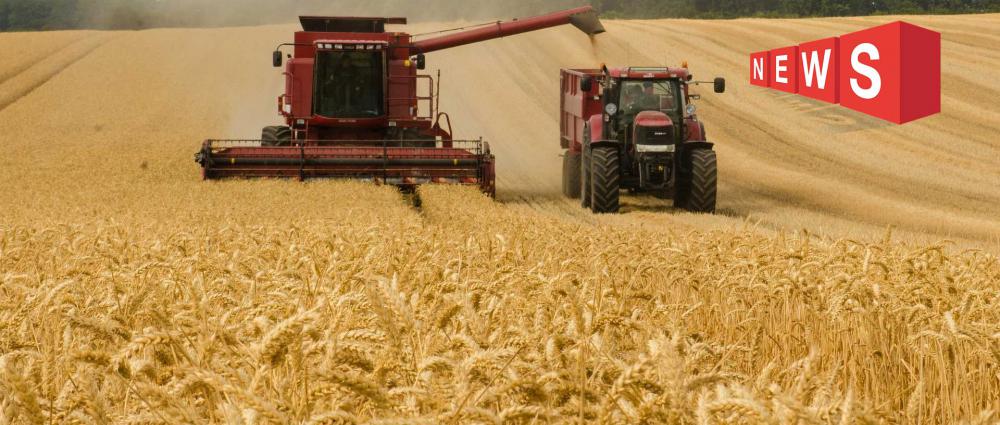 Контроль качества зерна