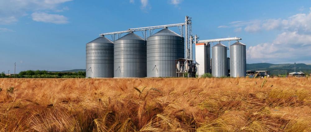 Як знизити операційні витрати на зерновому елеваторі. Топ порад від фахівців
