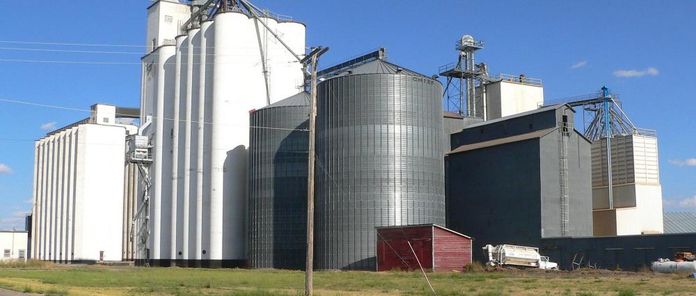 Внедрение программы для автоматизации элеваторов, комбикормовых и маслоэкстракционных заводов
