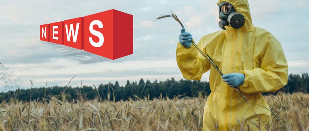 Європейська Комісія знижує допустимі рівні залишків біфеназату у зернових культурах