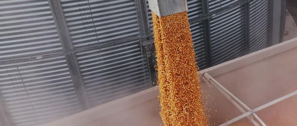 Оборотність зерна на елеваторі. Як розрахувати та покращити