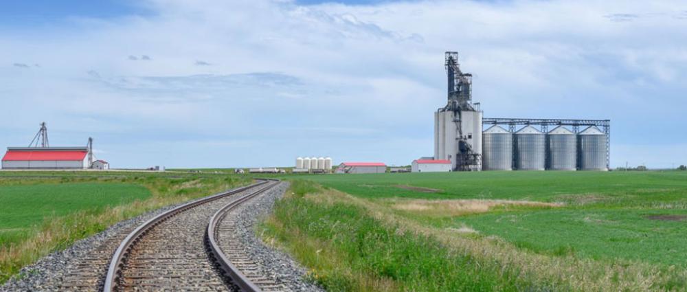 Зерно на вагоні. Чи справді експорт з елеватора - нова тенденція?