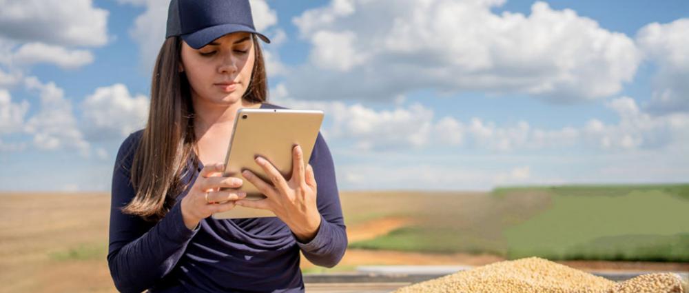 Эффективная автоматизация. Как программы трансформируют работу зернотрейдера