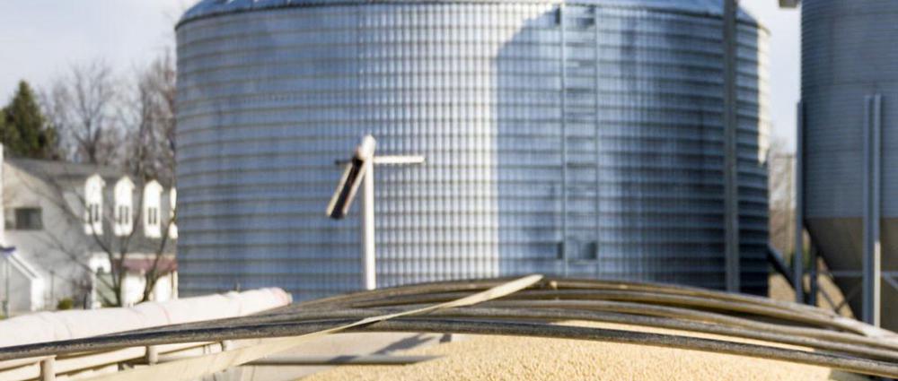 Соя. Особливості приймання та зберігання на елеваторі