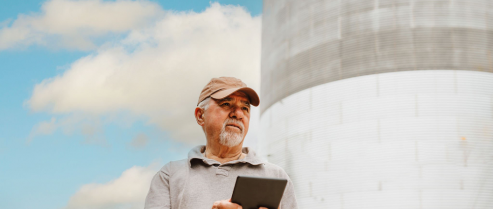 Страхування зерна на елеваторі в Україні. Що необхідно знати