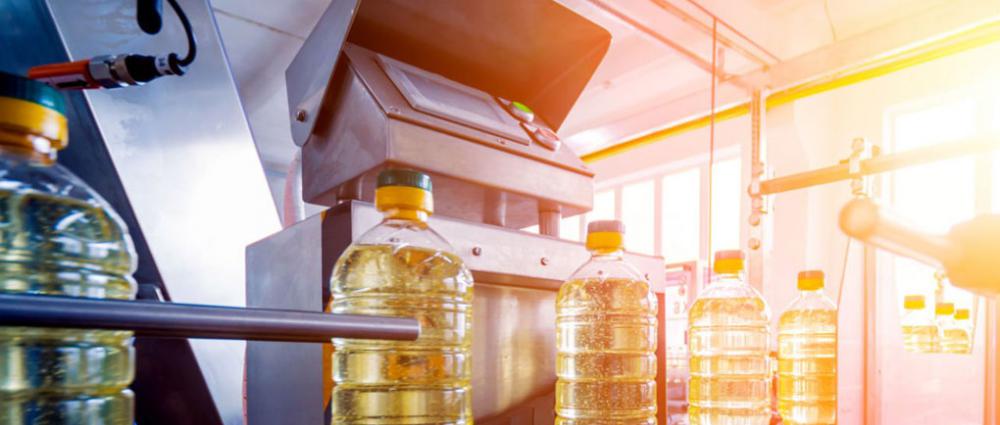 Рентабельність переробки олійних культур в Україні, чи може «прозорий» облік змінити правила гри?