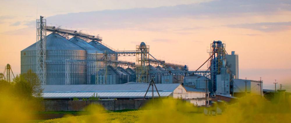 Які бувають види зернових елеваторів. Повна класифікація