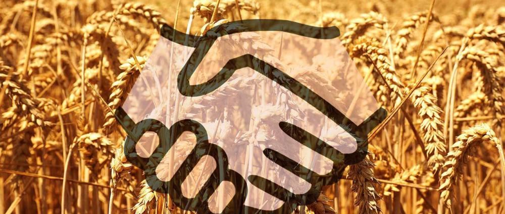 Организационные формы хранения зерна на элеваторе. Какую выбрать.