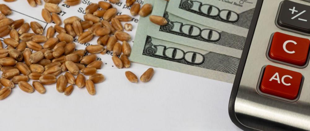 Зерно як заставне майно. Облік і юридичні аспекти