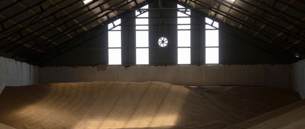 Зберігання зерна. Довіритись елеваторам чи зберігати самому?