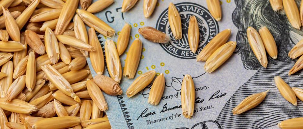 Конкуренція на ринку зерна в Україні. Нові стратегії залучення клієнтів