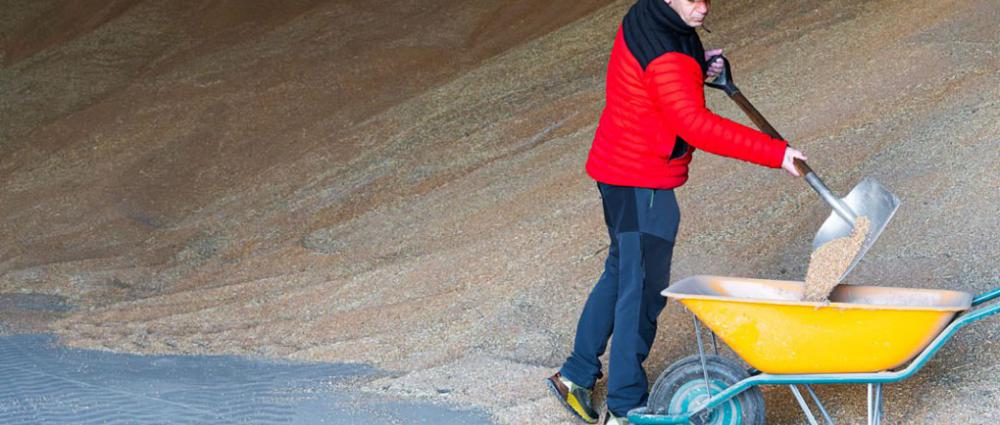 Автоматизація роботи току. Від приймання зерна до відвантаження