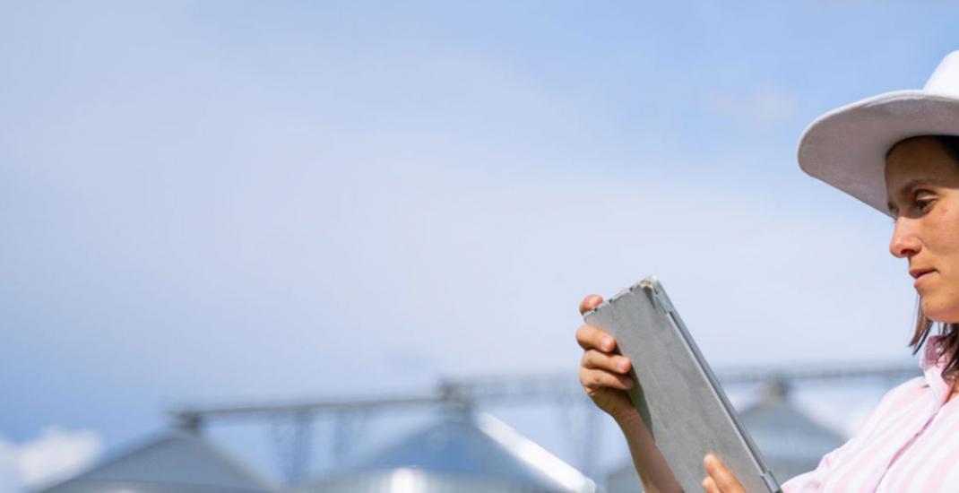 10 помилок власників елеваторів у фінансах і як їх вирішує автоматизація обліку зерна