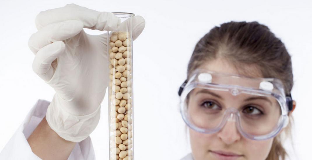 ГМО-контроль зерна 2026 - як новий закон змінить роботу українських елеваторів