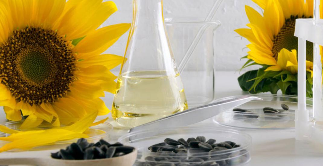 Анонімна лабораторія на елеваторі та олійному заводі