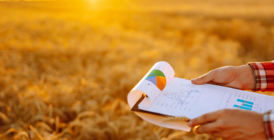 Бізнес-план зернотрейдера. Як інструмент збільшення продажів