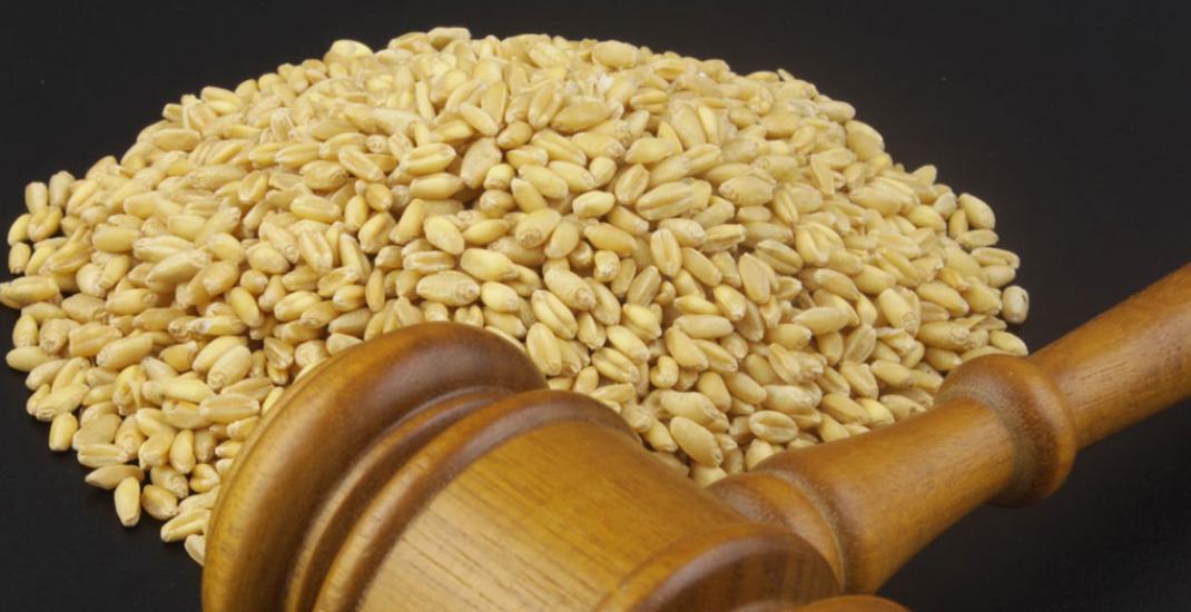 Судові спори через облік зерна. Типові конфлікти між елеватором і агровиробником