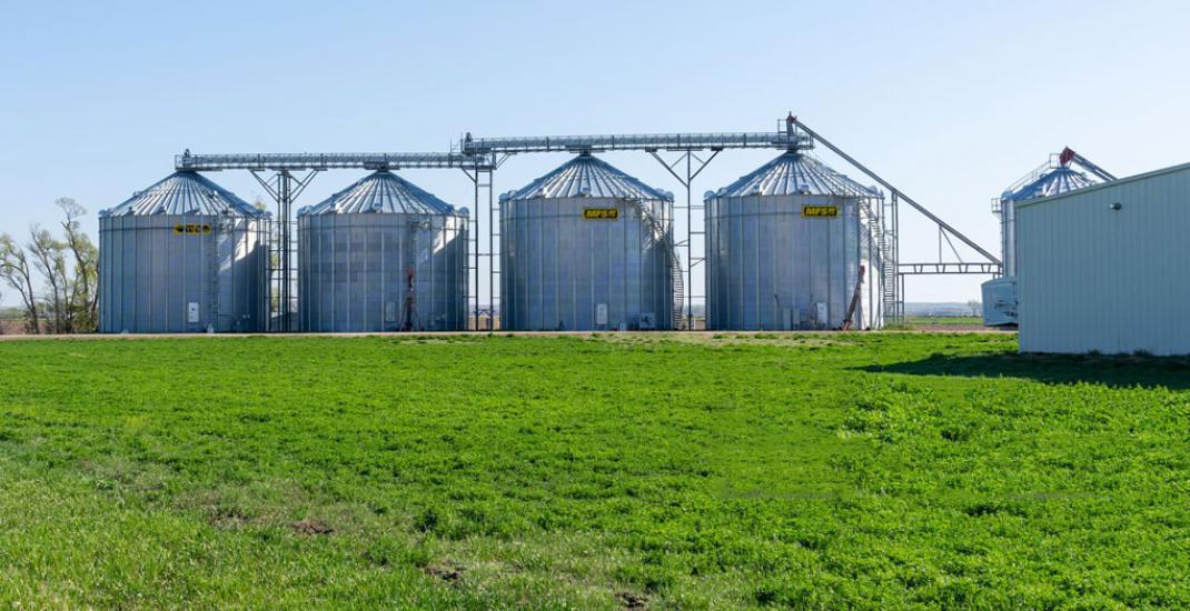 Зерновий елеватор як цифрова платформа. Як знизити залежність від нестачі персоналу