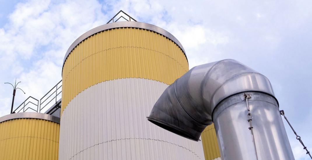 Сушка зерна: до чи після очистки - що обрати елеватору