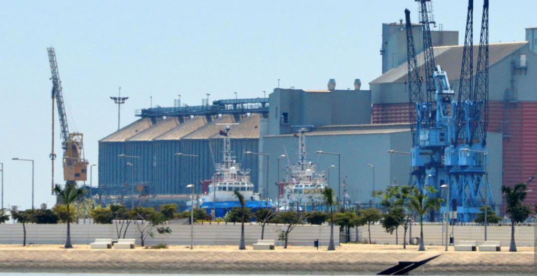 Елеваторний бізнес в Україні. Нові бізнес-моделі елеваторів для зберігання зерна