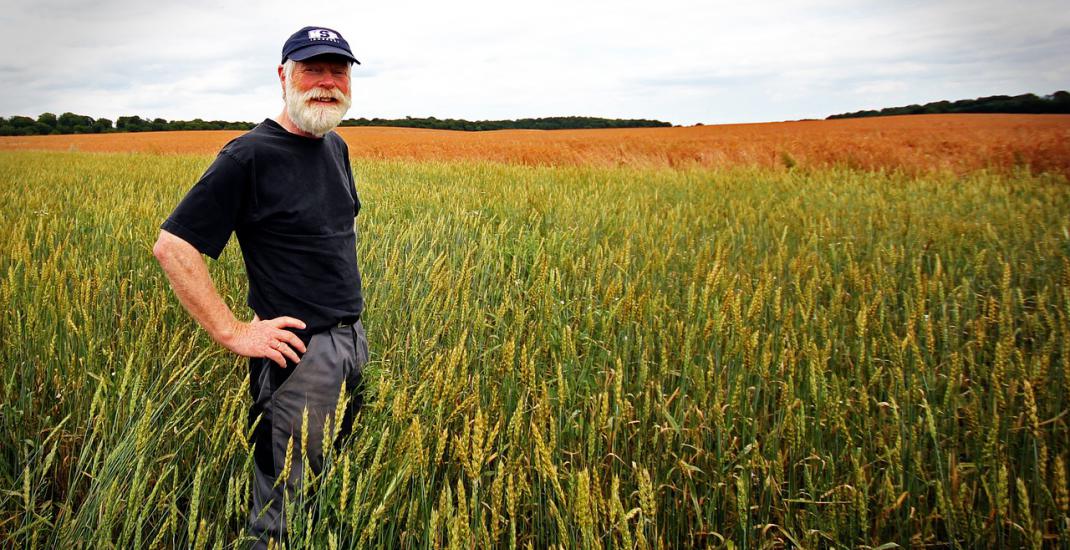 Принципи роботи зернотрейдерів та навіщо їм автоматизація