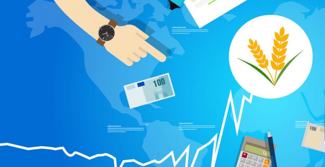 З 1 жовтня вартість програмних продуктів GES для обліку зерна зросте на 40%. Чому важливо придбати зараз