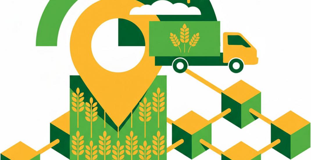 Щорічні аудити на повну простежуваність партій зерна. Навіщо це потрібно елеваторам