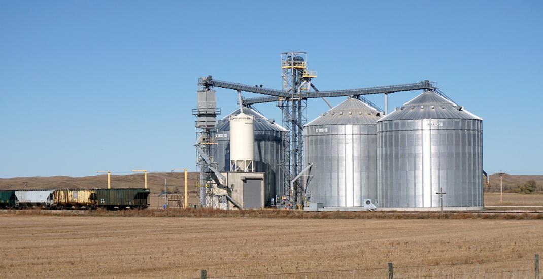 Купити чи побудувати новий елеватор. Куди краще вкласти інвестиції