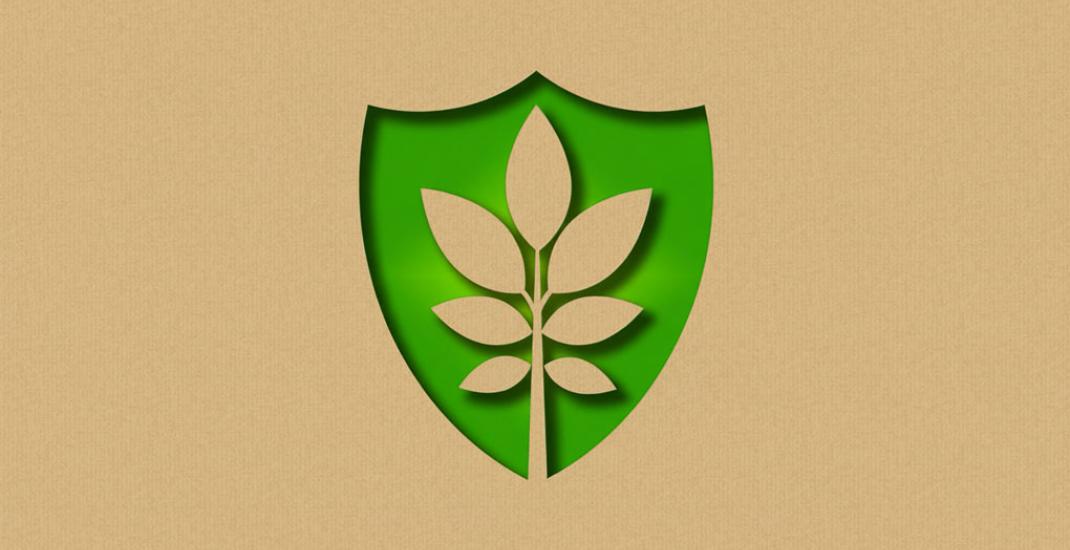 Системи HACCP, ISCC, ISO 22000. Навіщо елеваторам мати сертифікати