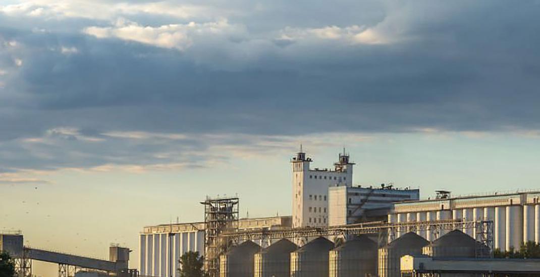 Обов'язкова сертифікація елеваторів в Україні — чи вирішить вона проблему тіньового зерна?