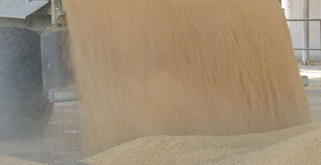 Елеваторний сезон 2025. Як підготуватися до приймання нового врожаю