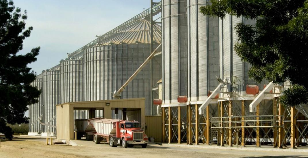 Чому важливо обирати елеватори з автоматизованим обліком. 5 аргументів для фермера