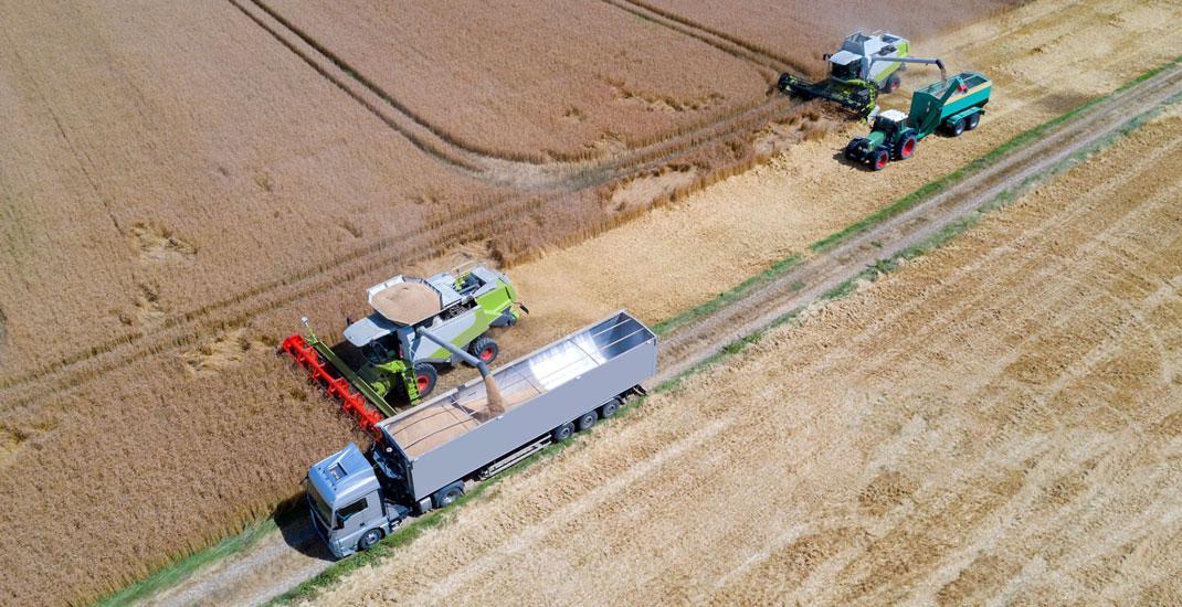 Логістика перевезення та зберігання зерна – крок за кроком